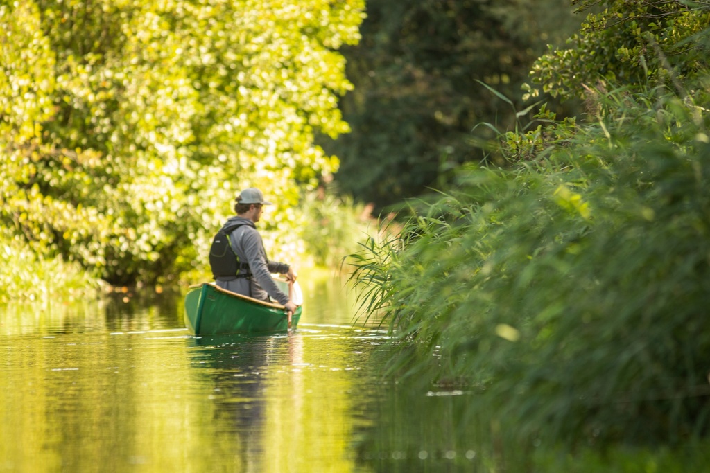 Silverbirch Firefly 14 Solo