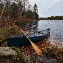 Bending Branches Beavertail Lifestyle