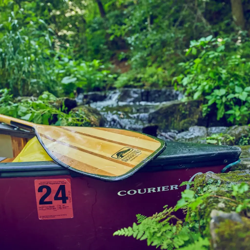 Bending Branches Expedition Plus Lifestyle