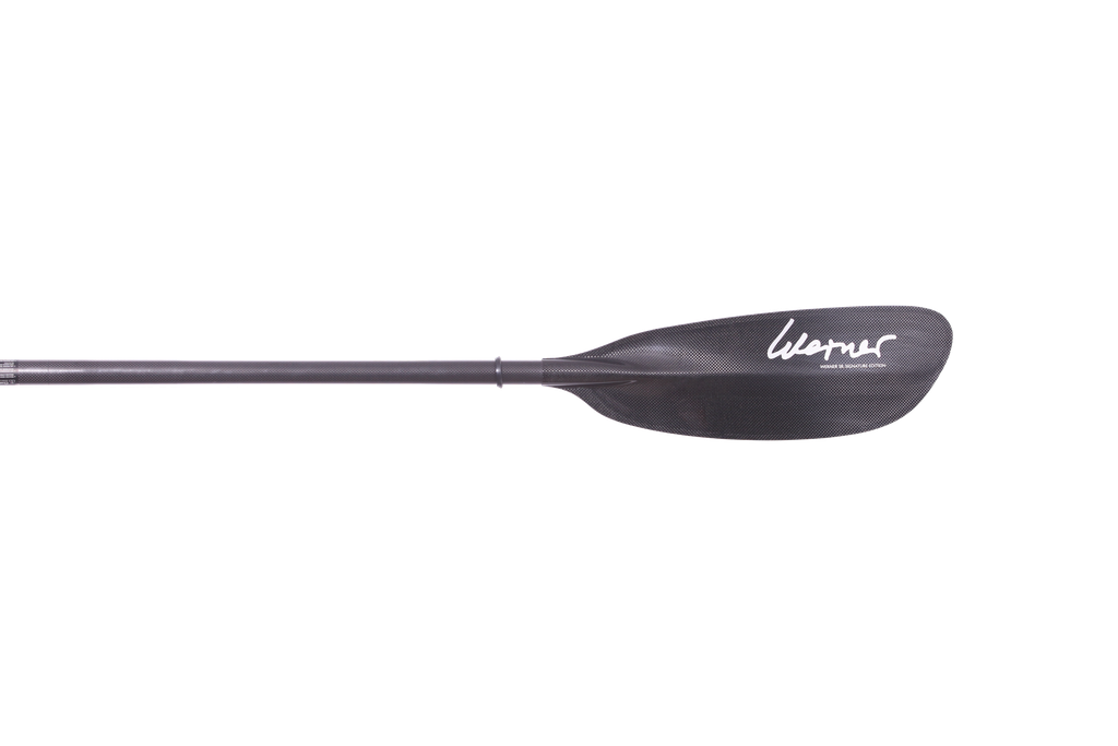 Werner Ovation