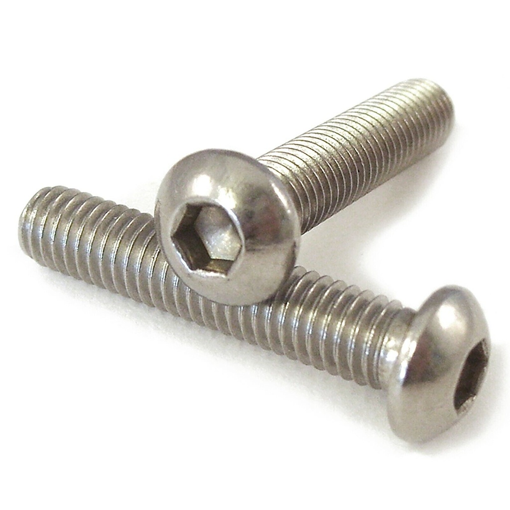 M6 x 45 Socket Button A2 S/S