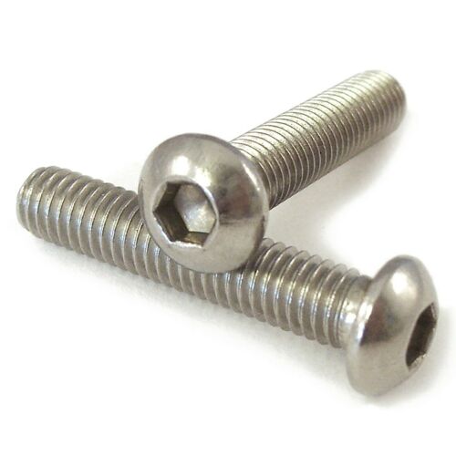 M6 x 55 Socket Button A2 S/S